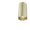 Потолочный светильник MAYTONI FOCUS C010CL-01G
